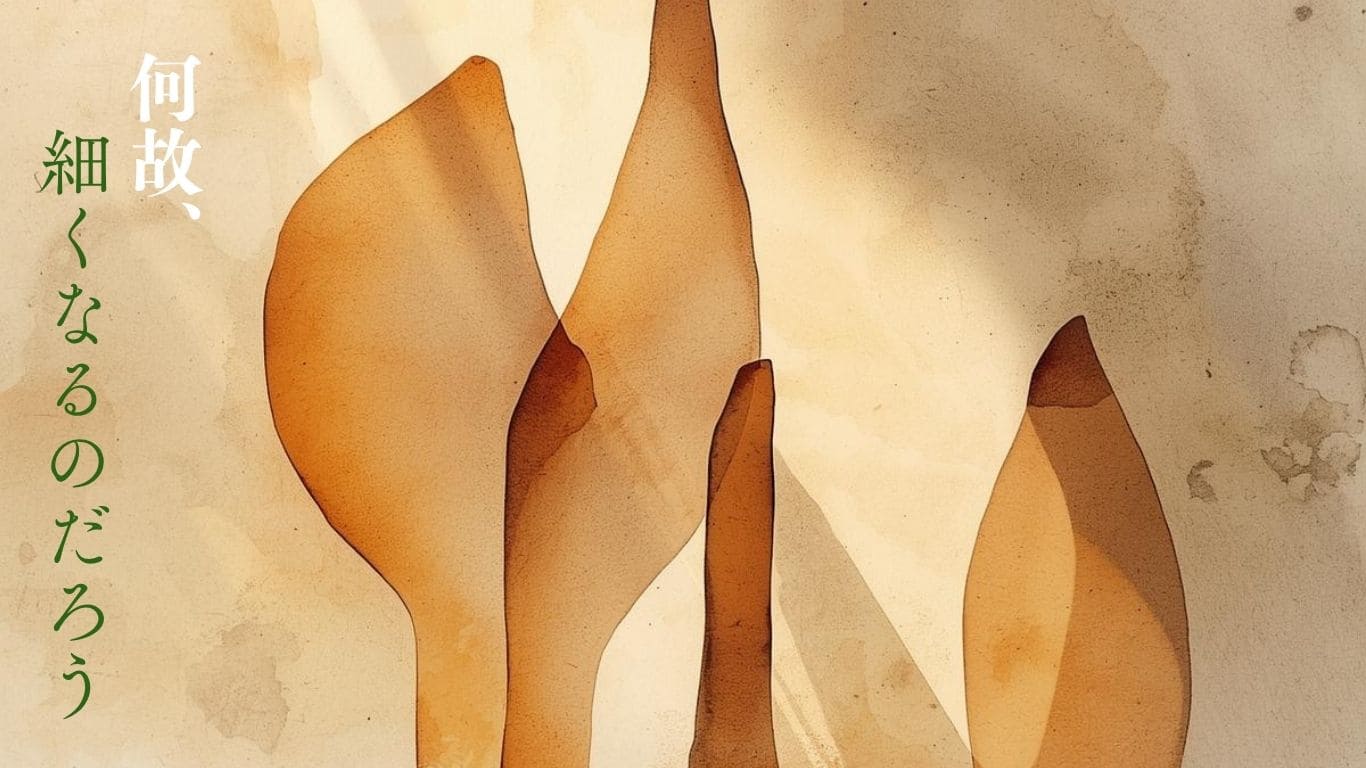 何故髪は細くなるのか