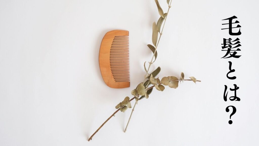 毛髪とは？