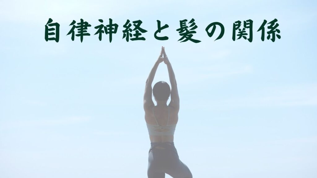 自律神経と髪の関係