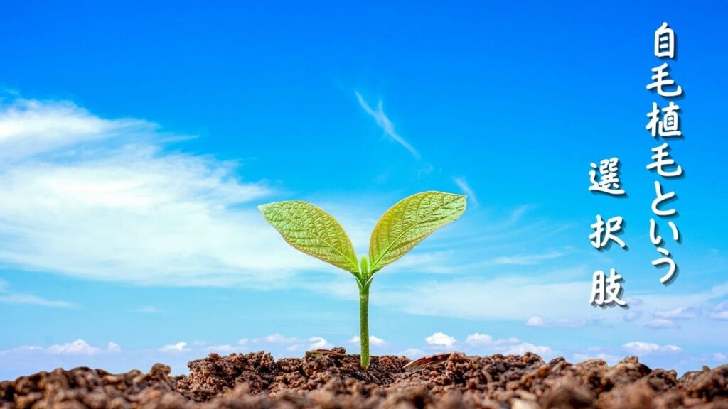 自毛植毛という選択肢