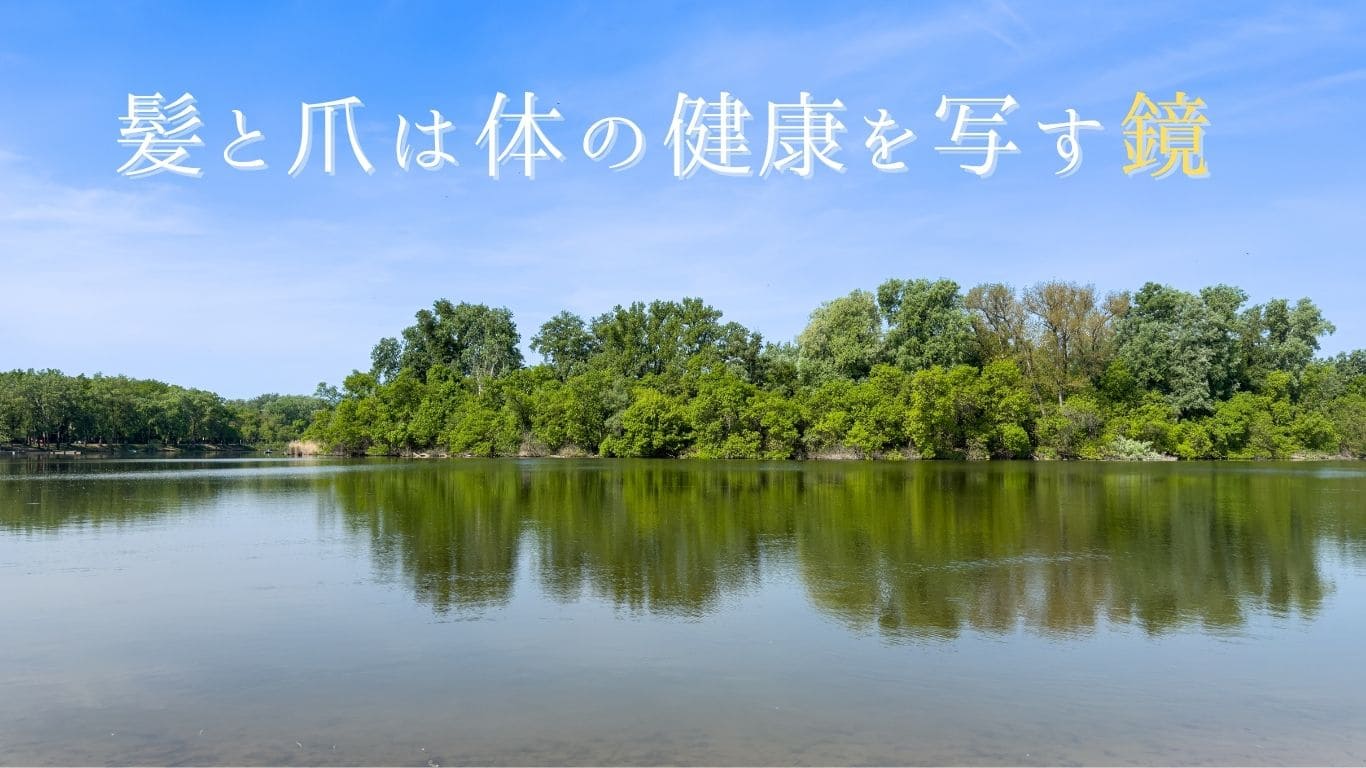 髪と爪は体の健康を写す鏡